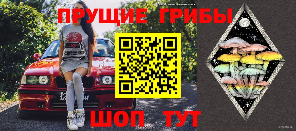 Мценск  Псилоцибиновые грибы мицелий  Вход с VPN 